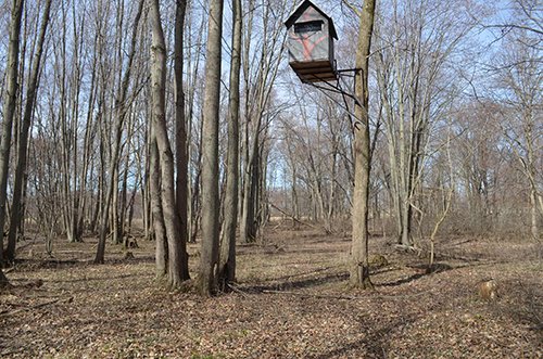Property photo 104 - REAL ESTATE & PERSONAL PROPERTY AUCTION, 140 Acres offered in 8 Tracts or Combinations in Steuben County